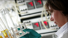 profesionales matriculados