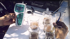 Remediación de Aguas Contaminadas